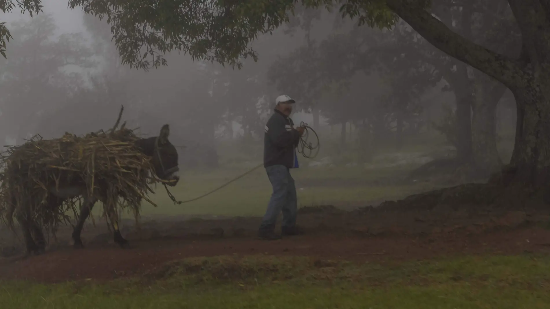 El termómetro bajó menos tres grados en Amealco debido al frente frio  número 10.